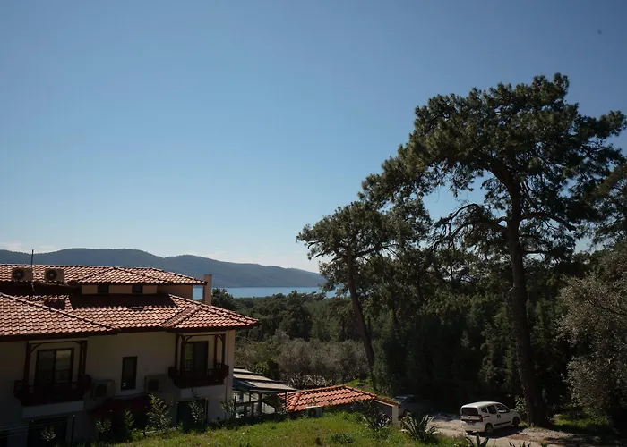 Alp Pinehill * اكياكا